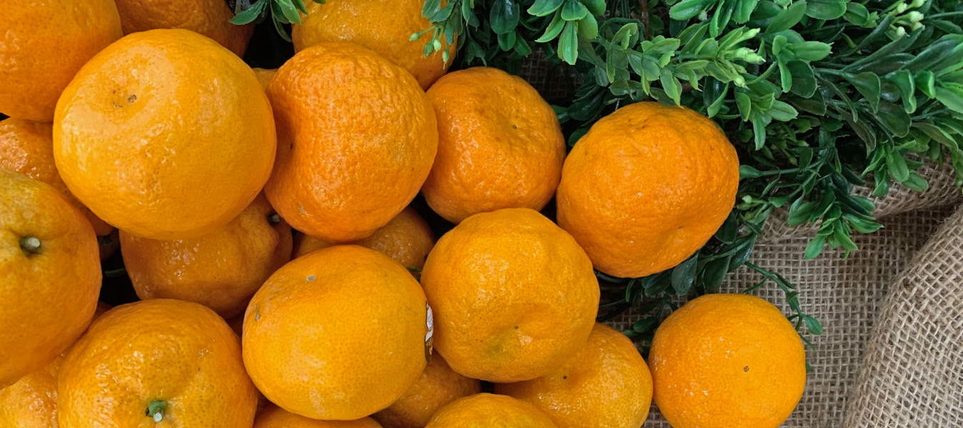 Golden Nugget Mandarin Oranges Kin's Farm Market