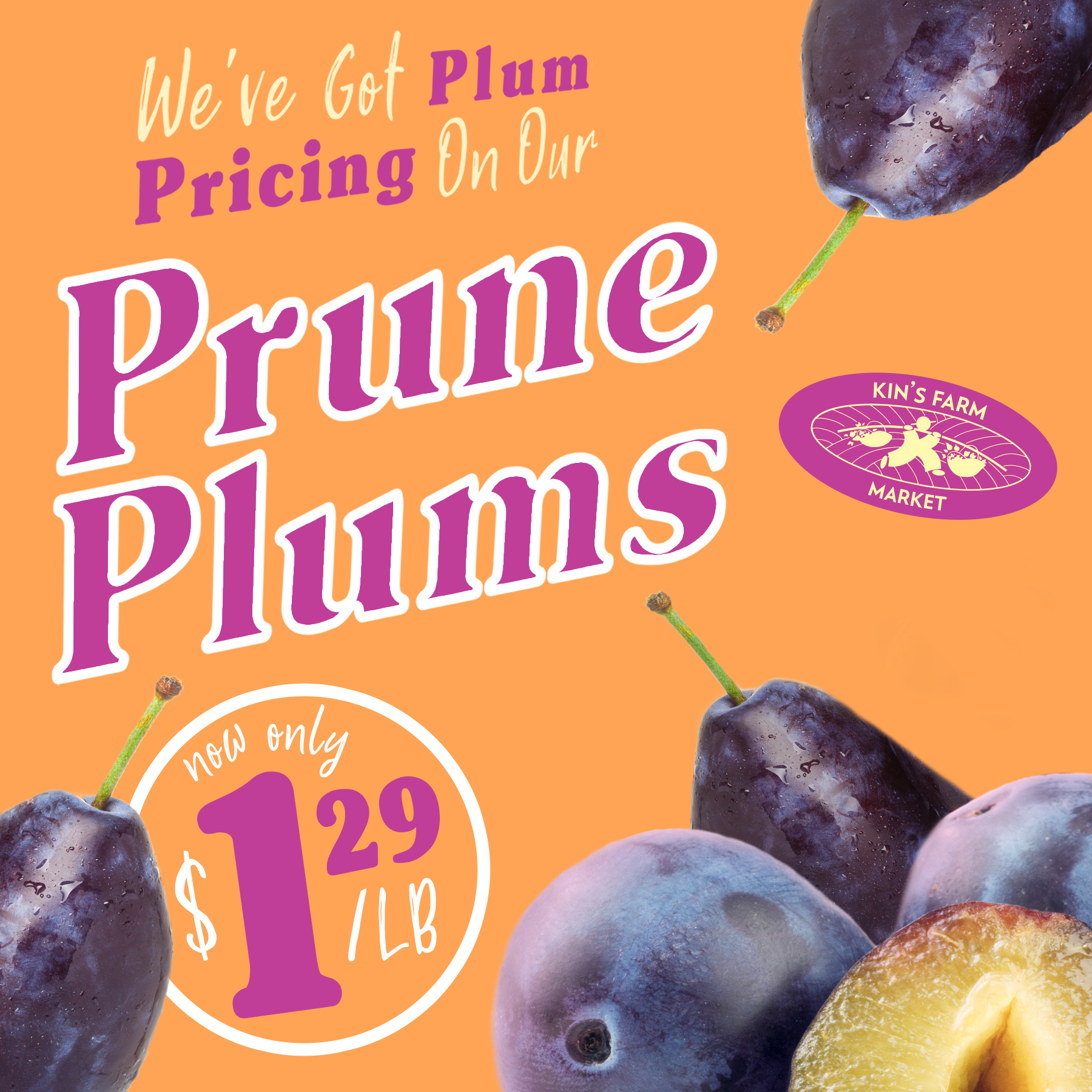 prune plum download free